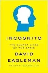 David Eagleman - Incognito